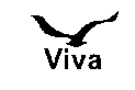 Viva Fishing :: Where the fish are!